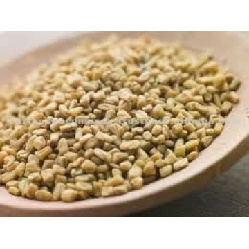 Sortex fenugreek